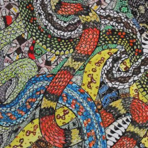 Snakes and Patterns
